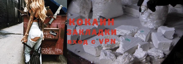 гидропоника Дмитриев