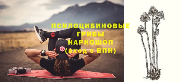 таблы Дмитров