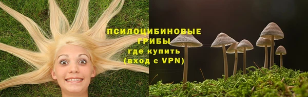 гидропоника Дмитриев