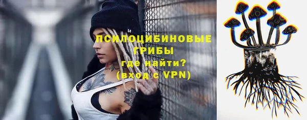 гидропоника Дмитриев